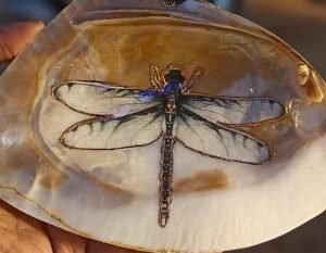 Dragonfly Soul Harmony