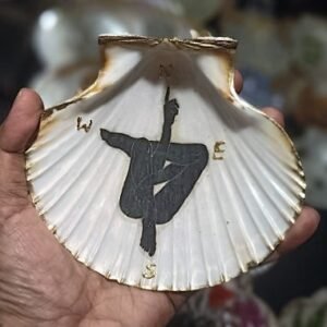 Compass Muse Serenity