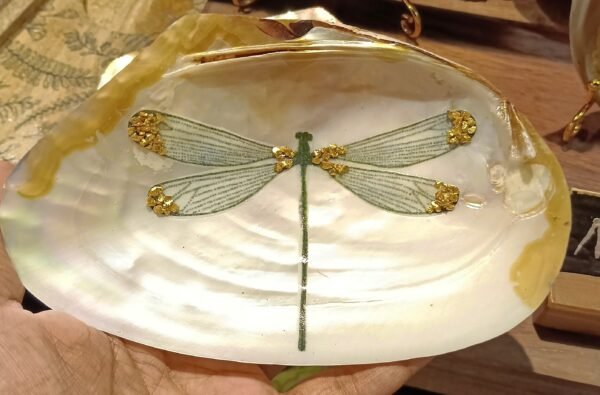 Dragonfly Whisper