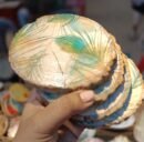 Whispers of the Peacock Coasters