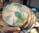 Whispers of the Peacock Coasters