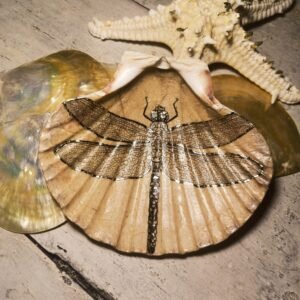 Dragonfly Reverie