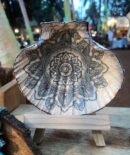 Celestial Mandala Grace