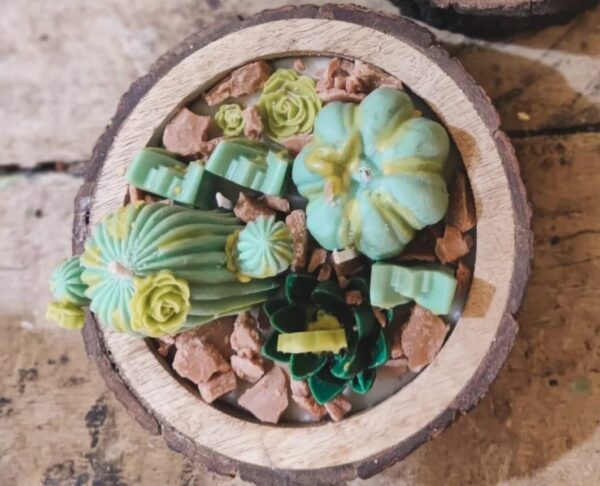 Succulent Garden Candle - Image 3