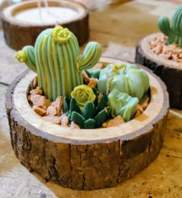 Succulent Garden Candle