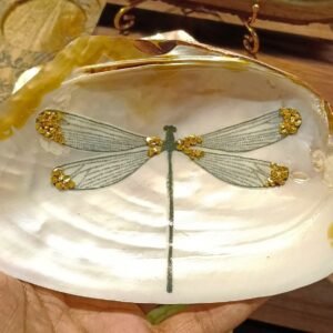 Dragonfly Golden Horizon