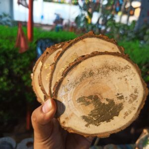 COASTERS
