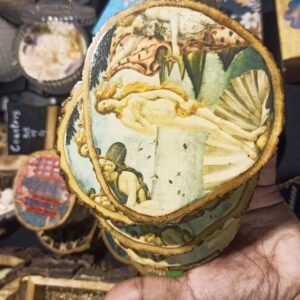 Birth of Venus Coasters