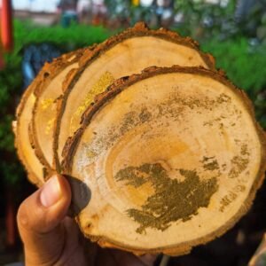 Golden Earth Reverie Coasters
