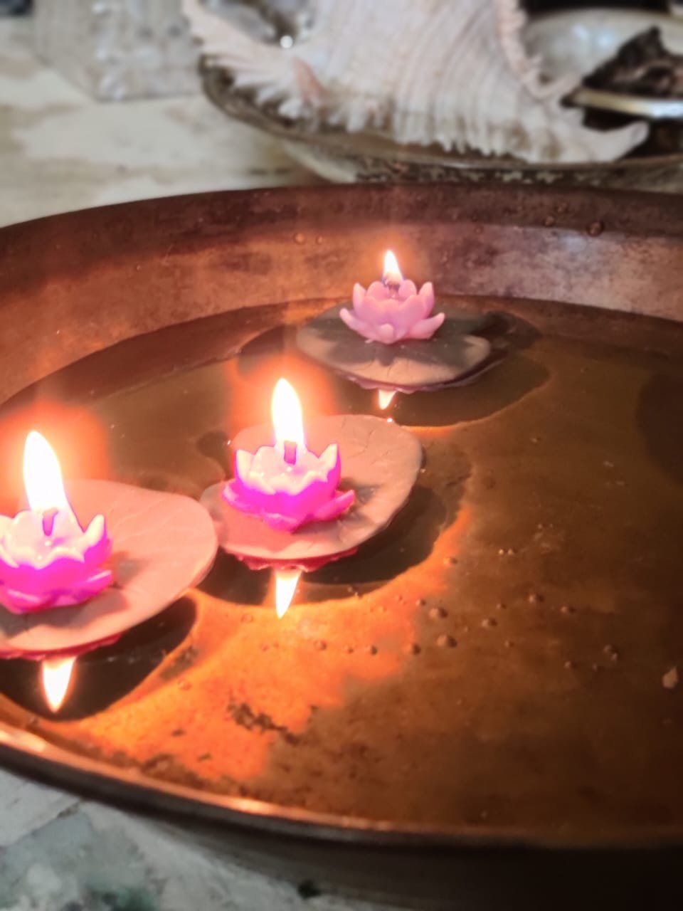 Divine Glow of Lotus – Exclusive Floating T-Light Set of 5 - Image 3