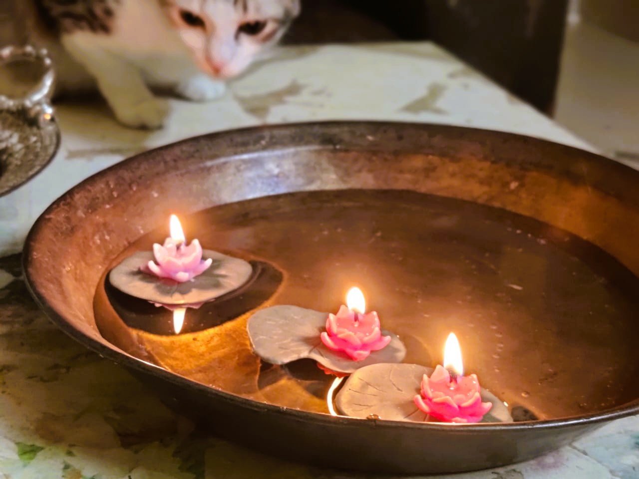 Divine Glow of Lotus – Exclusive Floating T-Light Set of 5 - Image 2