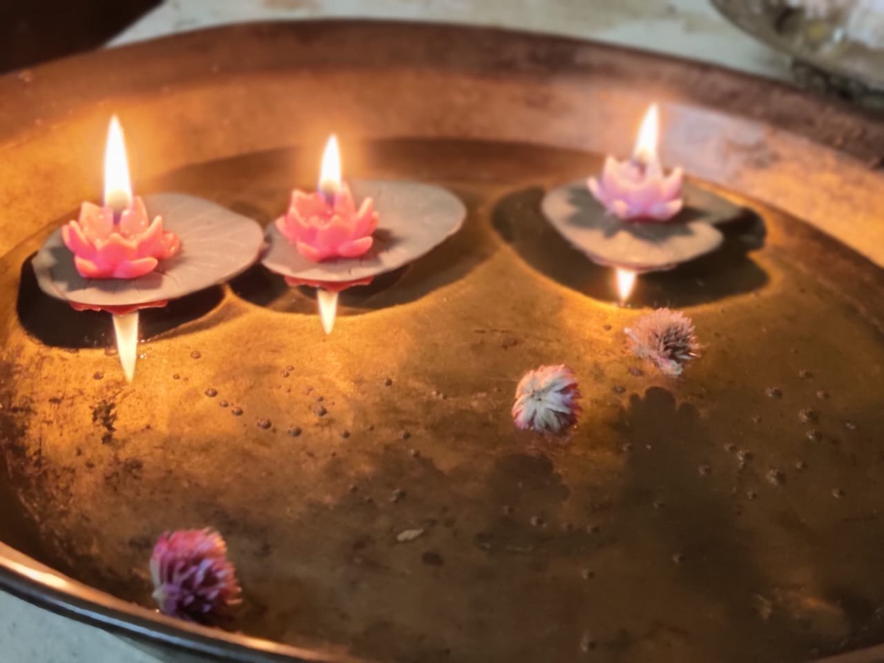 Divine Glow of Lotus – Exclusive Floating T-Light Set of 5 - Image 4